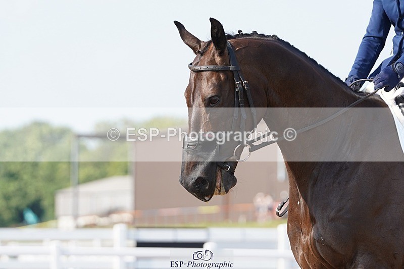 250621-174928-10323 - RoR Cls 6c-6b Novice