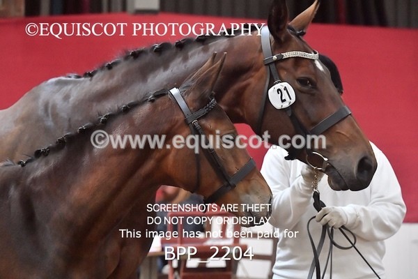 BPP_2204 - AFTERNOON 12.30 - 3.30PM