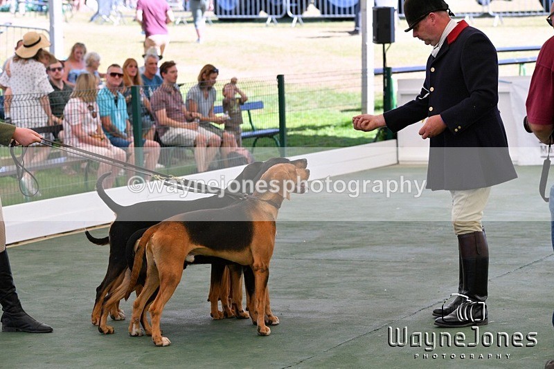 WJ5_0711 - Berks & Bucks at the Great Yorkshire Show 2025