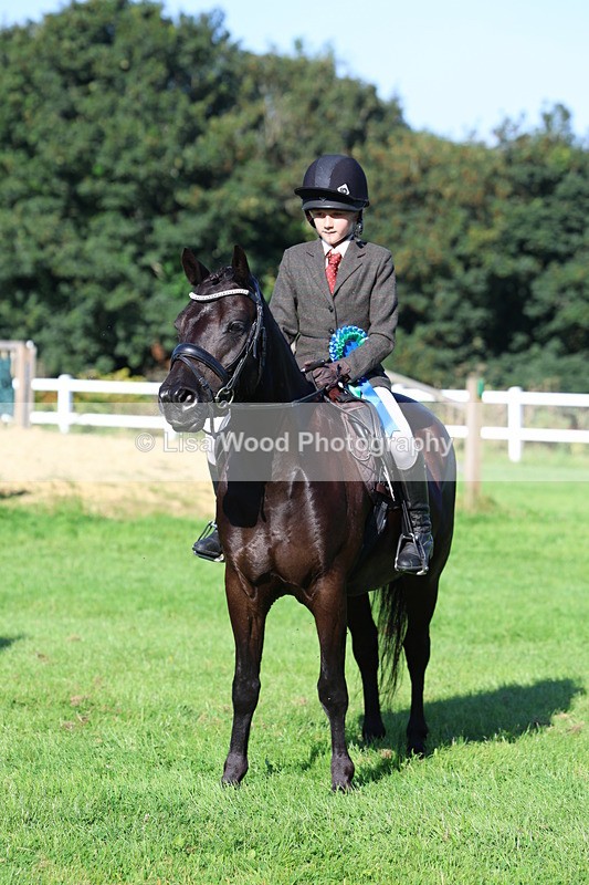 3E7A7711 - Class 1: Novice Working Hunter Pony