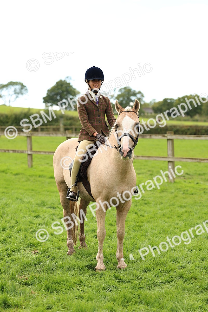 SBM_45371 - S33 - Working Hunter Pony