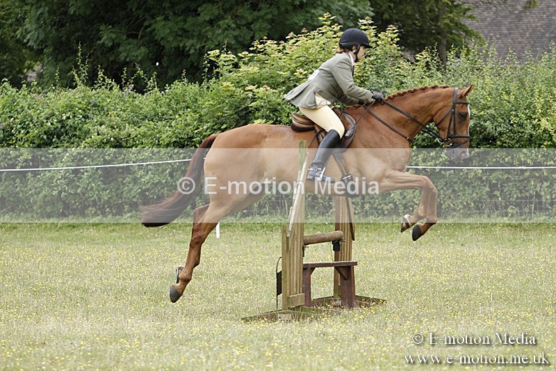 BVR160717-1712 - Ring 3 BVRC Show 16/07/17