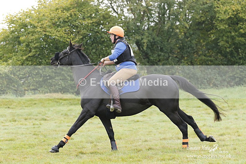  WWHT 171021 0900 - Open Novice (0.80m)  17/10/21