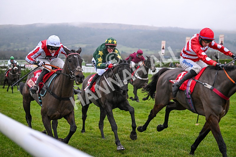 131224-Race 6-Stumptown-9641 - Race 6