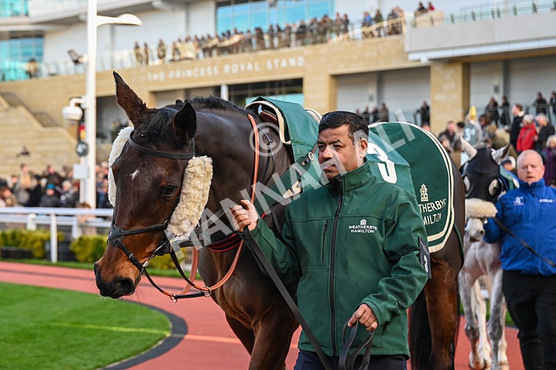 141224-Race 3-Game On For Glory-0458