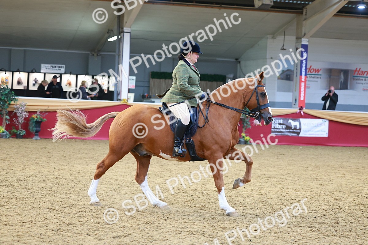 SBM_06112 - Class 12R - Ridden Pre-Vet