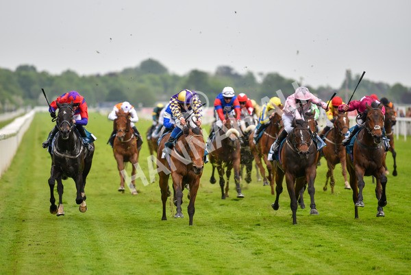 190523-Race 6-Eligible-1017 - Race 6 4.45pm Yorkshire Equine Practice Handicap