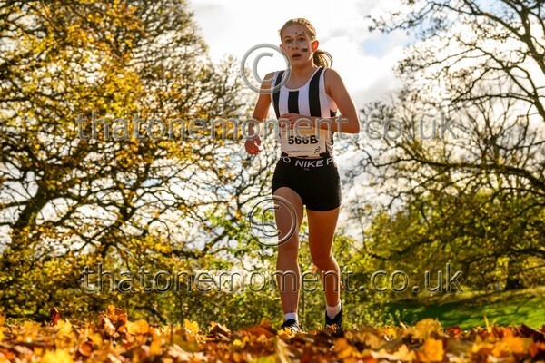 NatRel25-913551 - Young Female Set Two