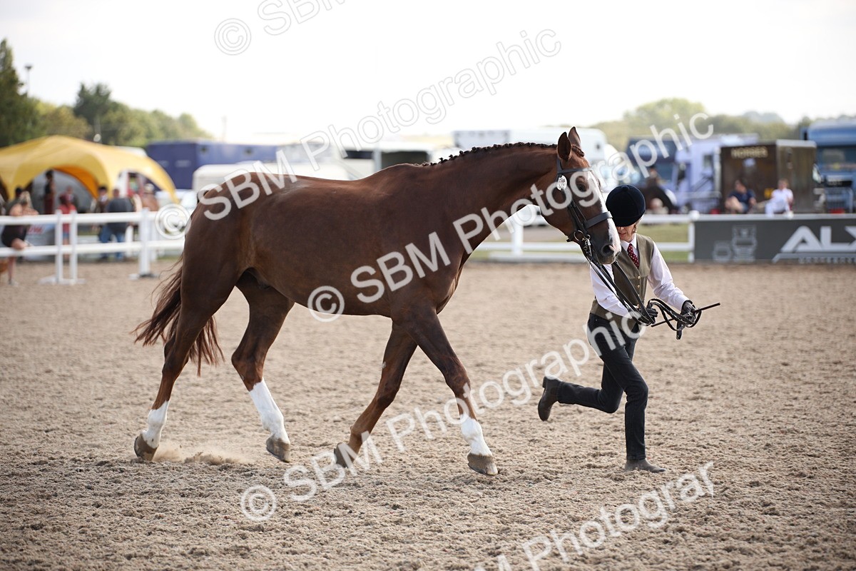 SBM_07098 - Class 25 IH Foreign Breeds- Pure bred