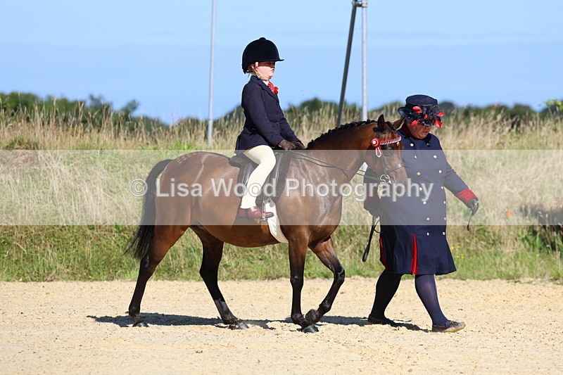 3E7A7876 - Class 14: Tack and Turnout