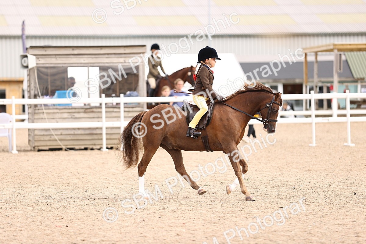 SBM_18060 - Class 422 - Equitation (Best Rider) Jnr