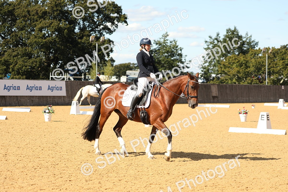 SBM_24546 - D17 - Grand Tour Championship - Novice 27