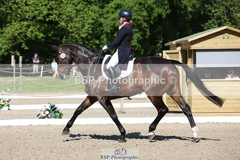 230526-094131-05138 - 357-VIVENDI_HERO-Saffron_Cresswell-WEDTrotUp+DR