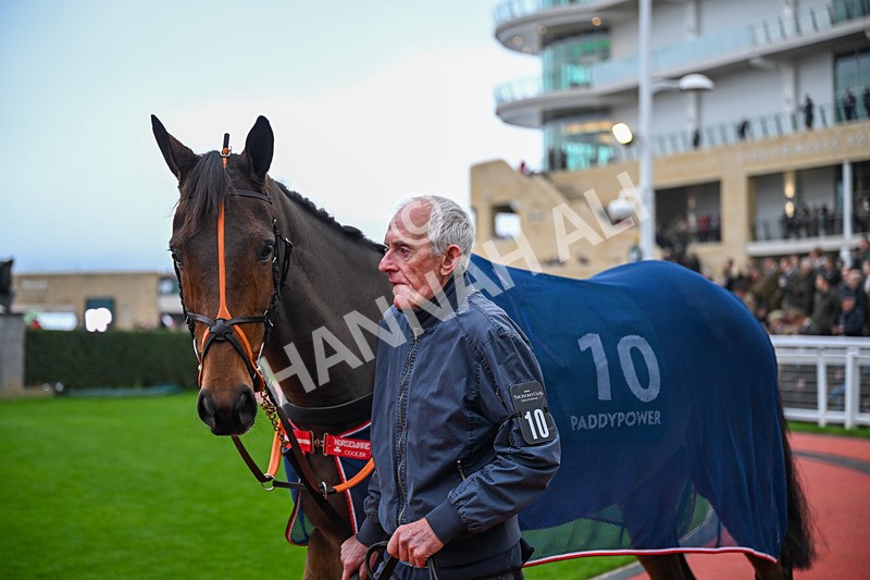 151125-Race 5-Vee Dancer-3513 - Race 5