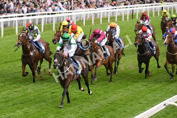 yr22052022r4-16 - Race 4: 5:05pm Sky Bet Sunday Mile