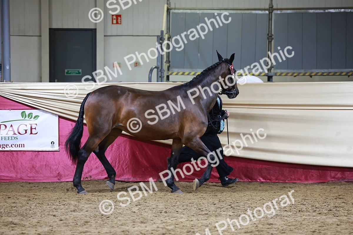 SBM_20619 - Class I - Ridden Pony Champ