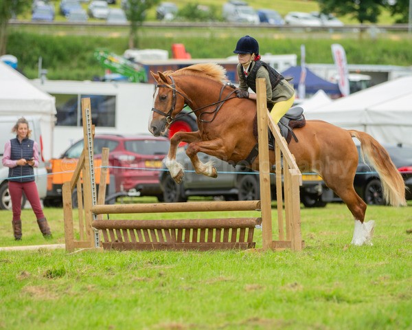 Dunblane show-153 - Dunblane and Doune Show Ring 1