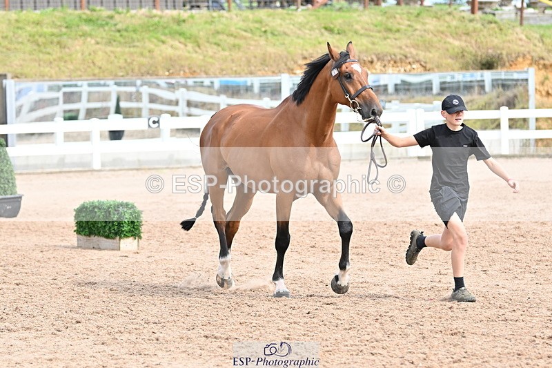 240717A-163848-03469 - Trot Up 4pm to 5pm