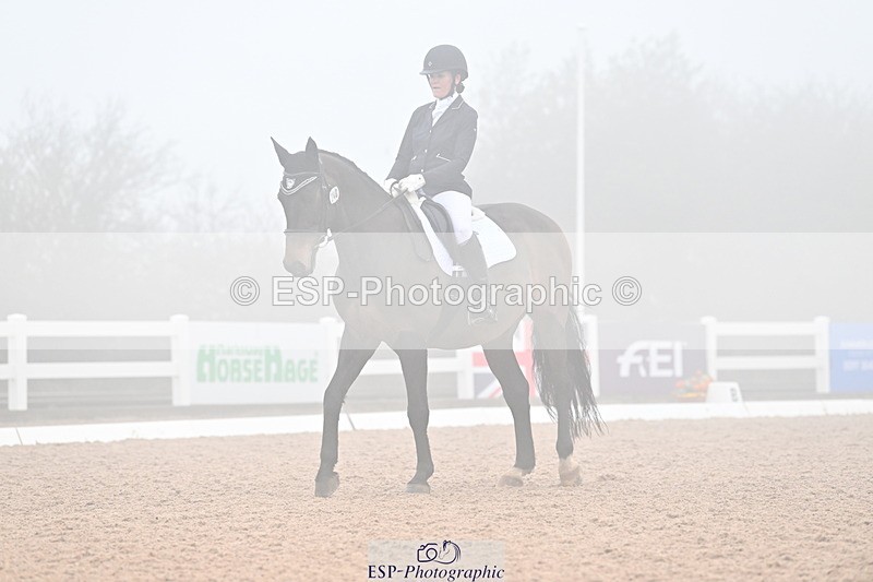 240217A-135617-03317 - 240-Moira.Bonner-Green.lanes.Elidor