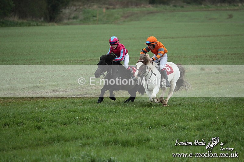 SHETPR 210425 76 - Shetland Ponies Paxford Races 21/04/25