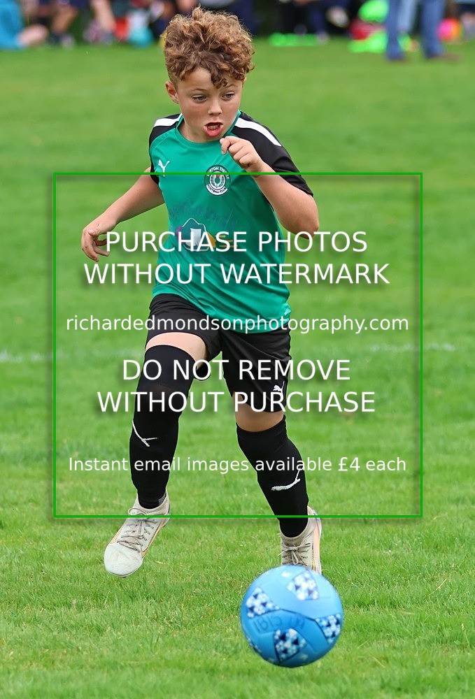 533A7931 - Burton Thistle