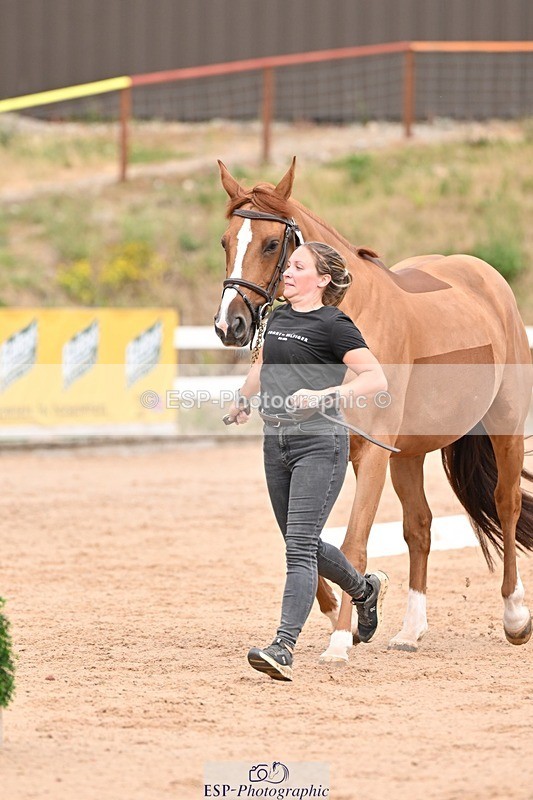 250716-153921-02078 - Trot Up 3.30 to 4.30