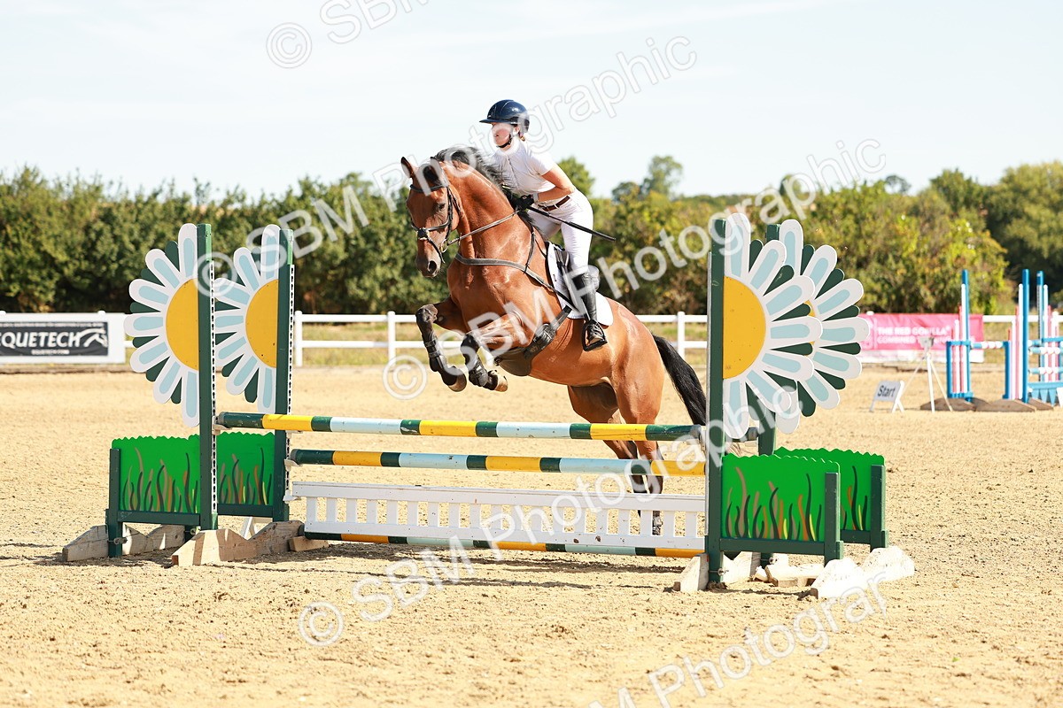 SBM_002636 - Class 9 - Senior British Novice - 90cm