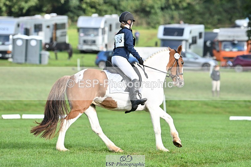 231020-102654-07621 - 638-I.FOUND.NEMO-Jacky.Jones-DR