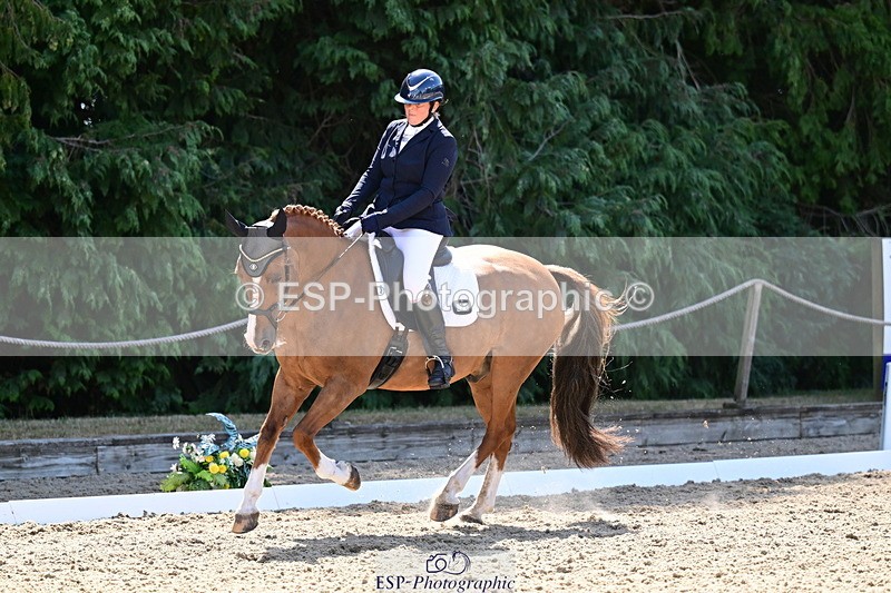 260731A-111736-00298 - Elementary Bronze 10.30 - Break