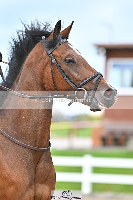 240723A-162616-00121 - 70cm