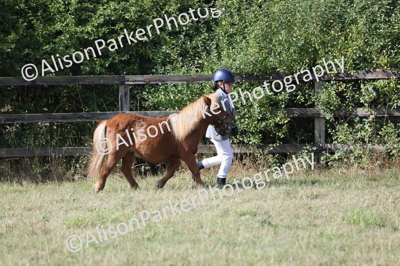 20250831-1606 - Previous show - Lambourn 2025