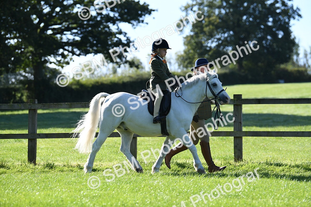 SBM_36736 - S18 - Novice & Newcomers Lead Rein Pony