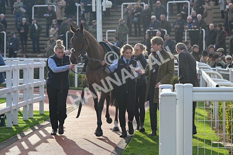 151124-Race 2-BTO-Springwell Bay-7370 - Race 2