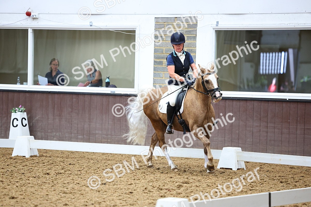 SBM_005574 - Elementary 2