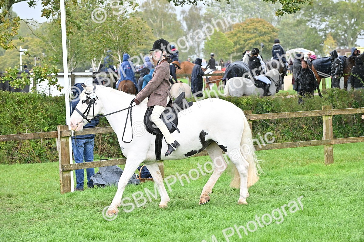 SBM_43022 - S12 - Family Horse & Pony