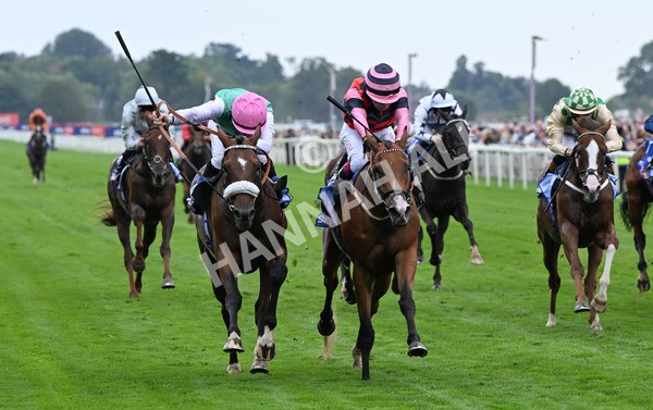 230825-036 Tarriance - Race 2 2.25pm Sky Bet Melrose Handicap