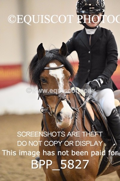 BPP_5827 - CLASS 3 PONY 40CM FINAL