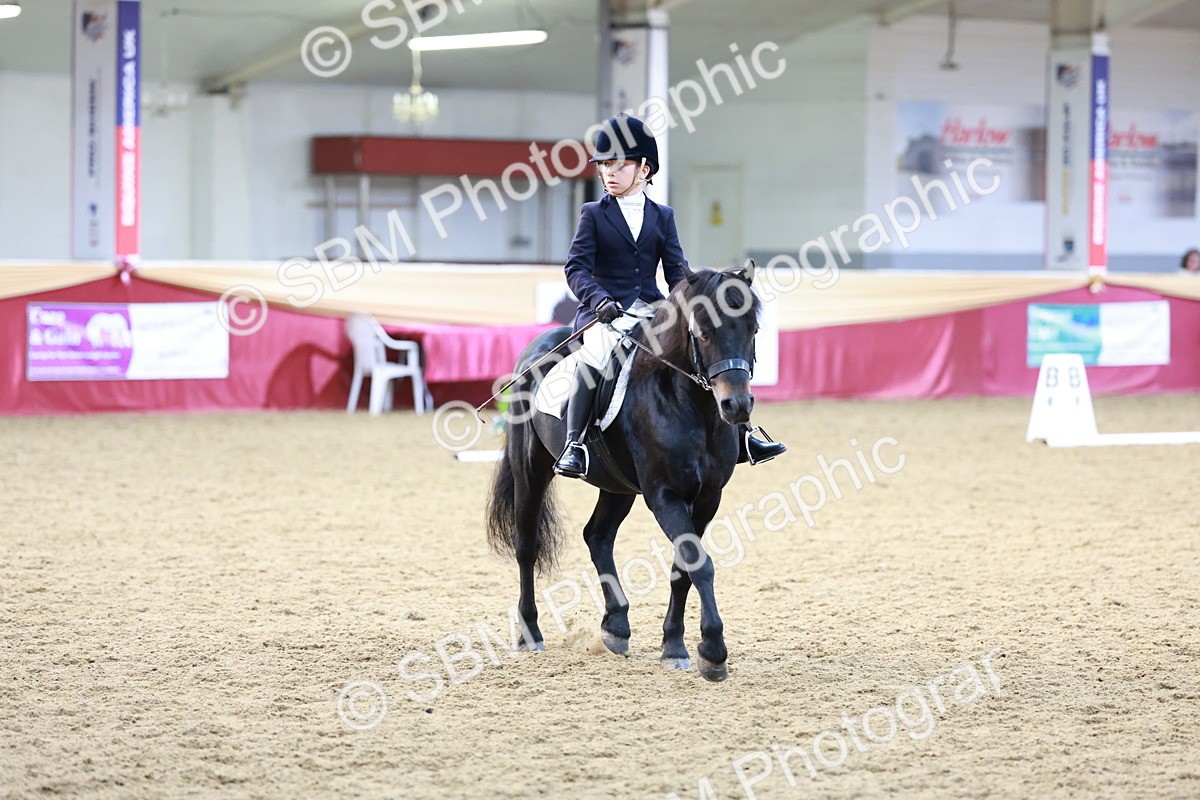 SBM_09197 - Class 61 - Dressage to Music