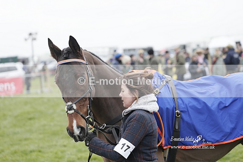PtP 050323 229 - Blackmore & Sparkford Vale Hunt PtP - Somerset 05/03/23