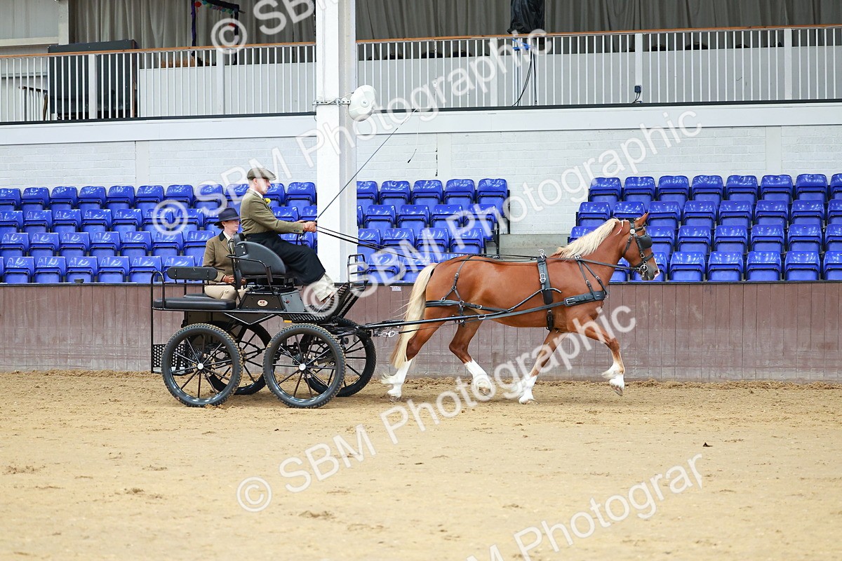 SBM_000630 - Class 11 - Peter Howell Memorial Gentlemen Whip