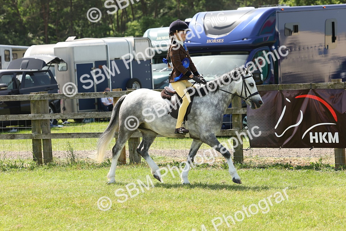 SBM_05438 - Class 24-25 - Mountain & Moorland In Hand Lead Rein and First Ridden
