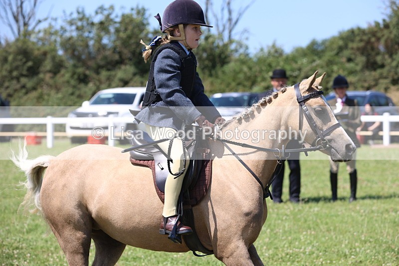JPP_2200 - Class 20: Tiny Tots Working Hunter Pony