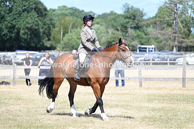 WJ7_3458 - Class 8 Ridden Veterans