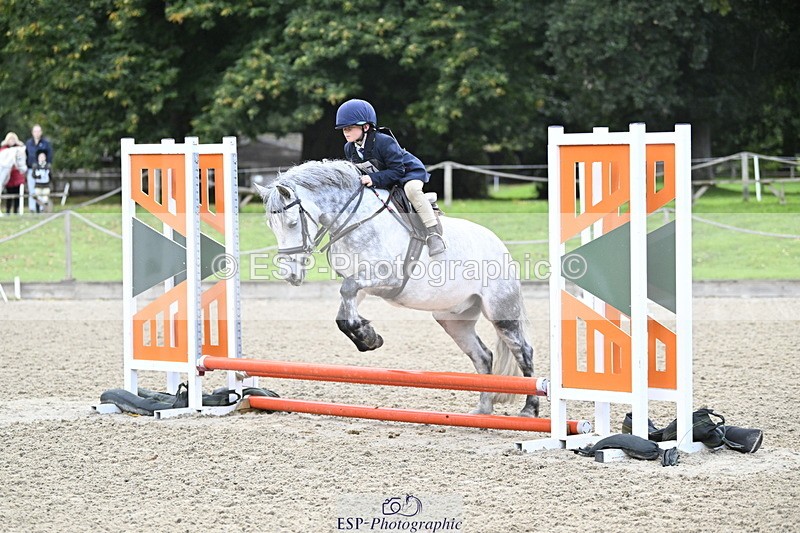 251005A-082016-02749 - Cls 01 GR 40cm