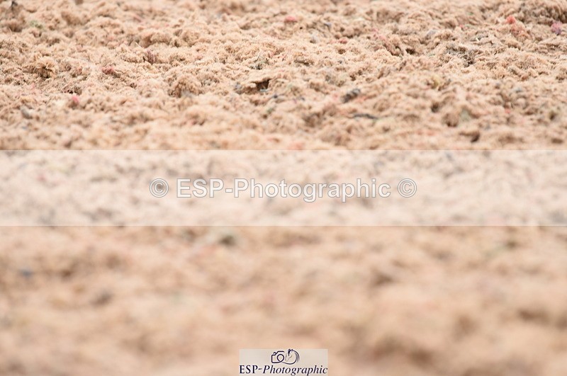 230708A-110410-01505 - Prelim 7