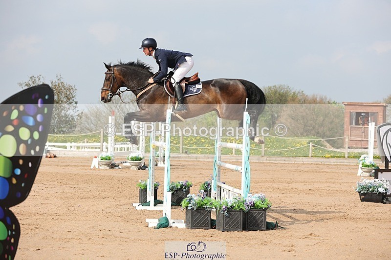 250424-103803-03141 - Cls 33 Young Horse 7yr old