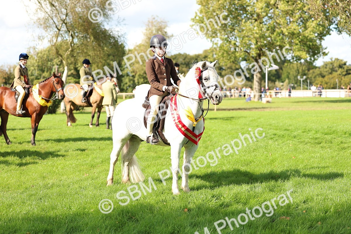 SBM_46383 - Working Hunter Pony Supreme Championship