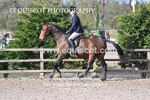 BPP_6704 - RING 1  (RIDDEN HORSES / IN HAND / VETERAN ETC)