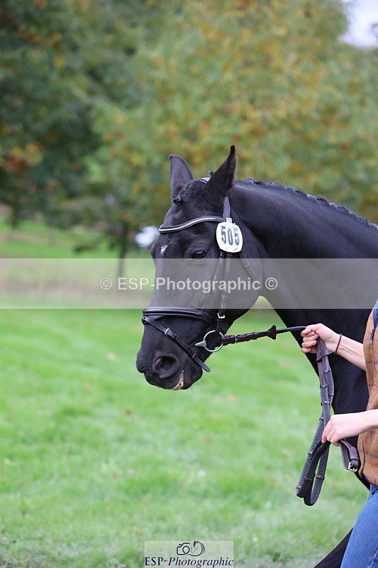 251026A-105820-23416 - G-505-Sarah.Amos