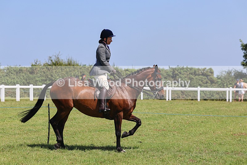 IMG_2313 - Class 38: Veteran Ridden